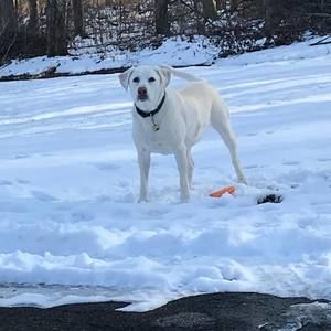 Meet your Posher, Roland